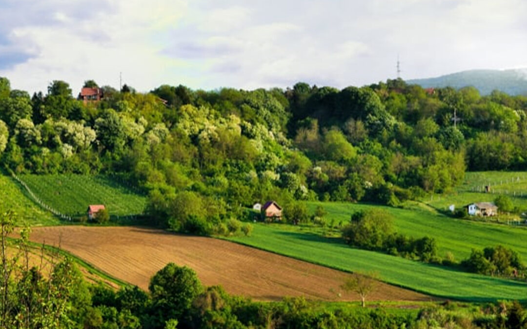 Fruška gora